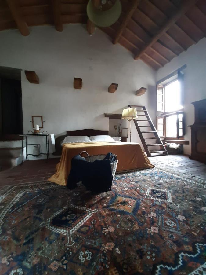 Agriturismo Frantoio Valiani Cortone Extérieur photo
